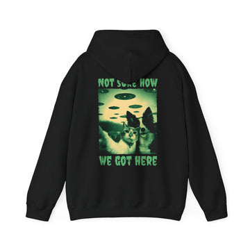 Not sure how we got here - Streetwear - Reality Check - Unisex Hoodie