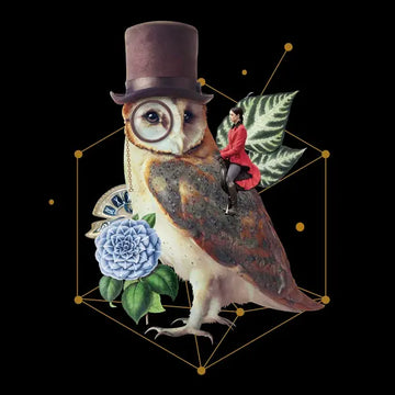 Eine surreale Collage, die eine Eule mit Zylinder und Monokel zeigt. Auf ihrem Rücken sitzt eine kleine Reiterin, umgeben von geometrischen Linien, Blumen und Blättern auf schwarzem Hintergrund.
