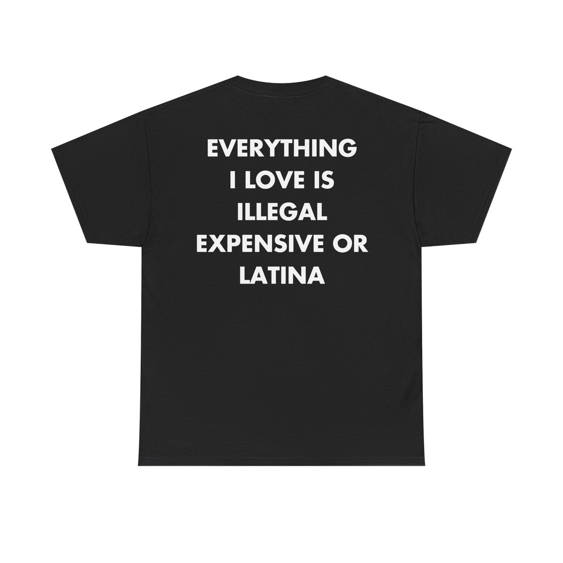 Schwarzes Unisex T-Shirt mit Back-Print und dem englischen Spruch „Everything I love is illegal, expensive or latina“